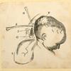 Illustrations of human anatomy.