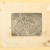 Illustrations of human anatomy.