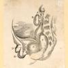 Illustrations of human anatomy and medical procedures.
