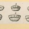 Illustrations of human anatomy and medical procedures.
