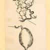 Illustrations of human anatomy and medical procedures.