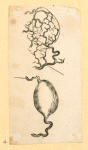 Illustrations of human anatomy and medical procedures.