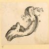 Illustrations of human anatomy and medical procedures.