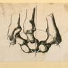 Illustrations of human anatomy and medical procedures.
