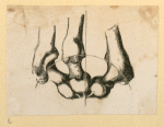Illustrations of human anatomy and medical procedures.