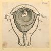 Illustrations of human anatomy and medical procedures.