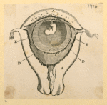 Illustrations of human anatomy and medical procedures.