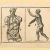 Illustrations of human anatomy.