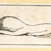 Illustrations of human anatomy.