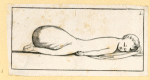 Illustrations of human anatomy.