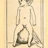Illustrations of human anatomy.