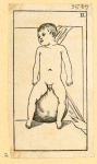 Illustrations of human anatomy.