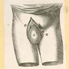 Illustrations of human anatomy.
