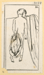 Illustrations of human anatomy.