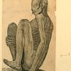 Illustrations of human anatomy.