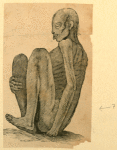 Illustrations of human anatomy.