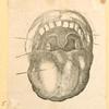 Illustrations of human anatomy.
