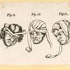 Illustrations of human anatomy.