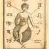 Illustrations of human anatomy.