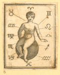 Illustrations of human anatomy.