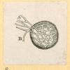 Illustrations of human anatomy.