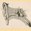Illustrations of human anatomy.