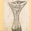 Illustrations of human anatomy.