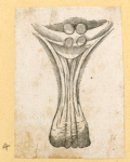 Illustrations of human anatomy.