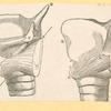 Illustrations of human anatomy.