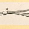 Illustrations of human anatomy.