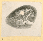 Illustrations of human anatomy.