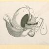 Illustrations of human anatomy.