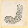 Illustrations of human anatomy.