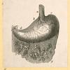 Illustrations of human anatomy.