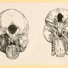 Illustrations of human anatomy.