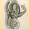 Illustrations of human anatomy.