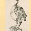 Illustrations of human anatomy.