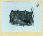 Scrap Book, Volume 6, p.9