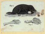 Scrap Book, Volume 6, p.12