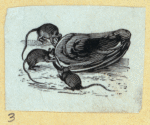 Scrap Book, Volume 6, p.12