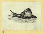 Scrap Book, Volume 6, p.16
