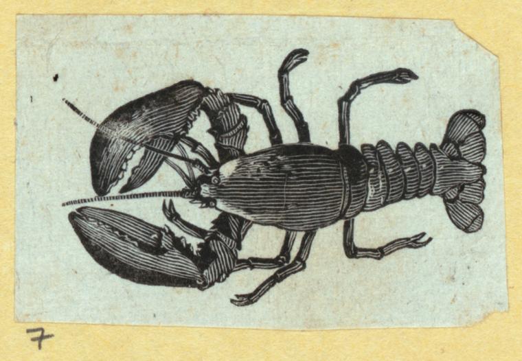 Index