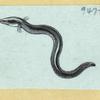 Scrap Book, Volume 6, p.16