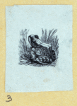 Scrap Book, Volume 6, p.17