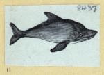 Scrap Book, Volume 6, p.17