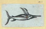 Scrap Book, Volume 6, p.17