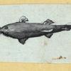 Scrap Book, Volume 6, p.18