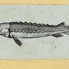 Scrap Book, Volume 6, p.18