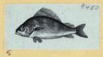 Scrap Book, Volume 6, p.18