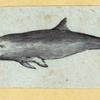 Scrap Book, Volume 6, p.18